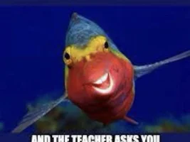 Daily Memes [Aquatic and non-Aquatic Memes]