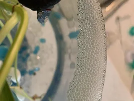 Need advice on potential breeding