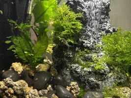 Just a little update
