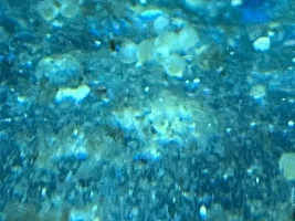My Cories Are Spawning Everywhere!