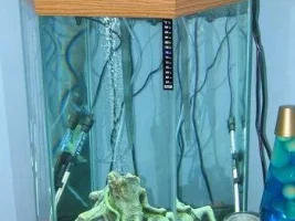 My Tank (StarOrbs)