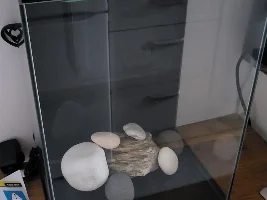 My new 5 gallon