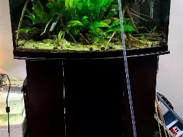 Water changing