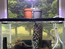 No Electricity Eco Shrimp Tank