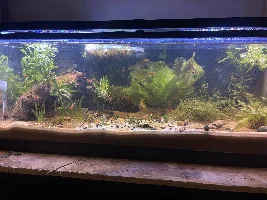 Such a huge difference with a good light .