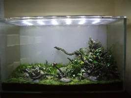 "Shattered Tree" - 140 ltr Opti-white