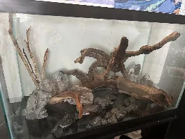 Pics - possible layout, thoughts?