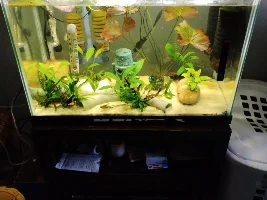 Is this enough light ?