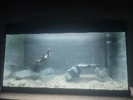 My ~15 gallon fish tank project