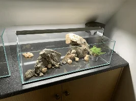 UNS 60S - Tanganyikan Shell Dweller tank.
