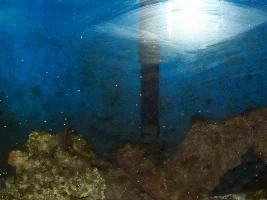 Is My Tank Ruined?