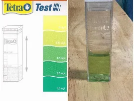 False Ammonia reading?