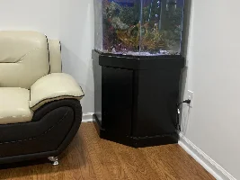clownfish has lockjaw, swim bladder problems