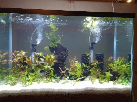Red CaribSea Eco-Complete substrate question