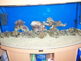 My Marine Tank Again