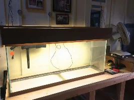Tank Stand