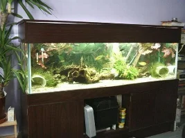 My Tanks