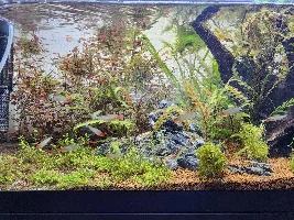 The 20g Long Progress