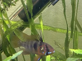 Is this a fluke?