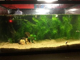 10g Build Journal.