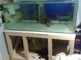 850litre tank!! 5x3x2