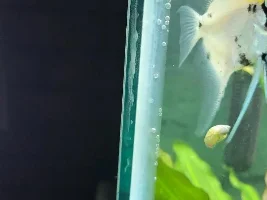 Concern about seam