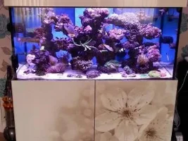 New tank choices