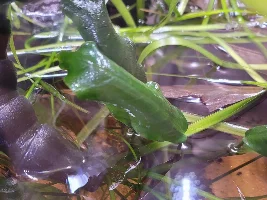 A few random pictures from the past week or so