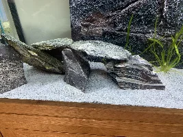 Do all PH raising rocks eventually result in the same PH levels?