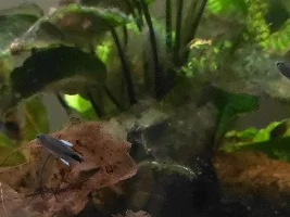 A few random pictures from the past week or so