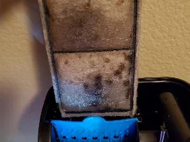 How to ammonia levels down