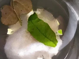 Are these cory eggs fertile?