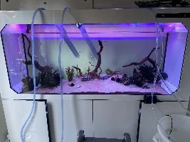 Warning to everyone using Seachem Purigen and Regen