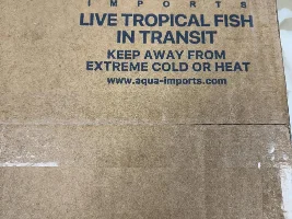 trying a new fish, & a new to me seller... fingers crossed...