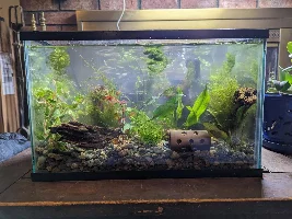 5g Nano Tank
