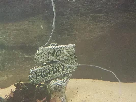 Is my Goldfish sick?