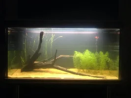 New 300L Aquarium