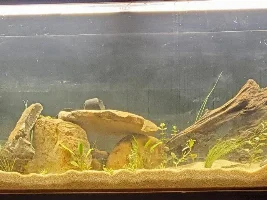 Retirees' 300-gallon adventure