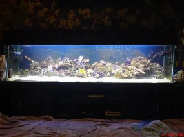 No Going Back Now.