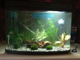 Any Better?