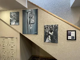 Juice’s Art Journey