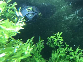 130 gallon planted tank