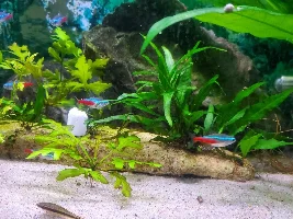 Eating patterns change over time?