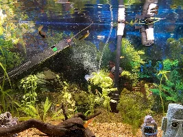 Two co2art questions