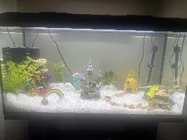 Confused on water testing