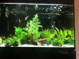 March 2015 - Tank Of The Month Competition Entries