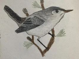 Thread for sharing art