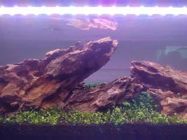 Fish Store Pictures