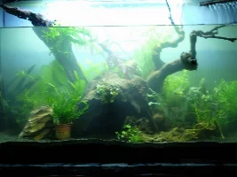 Finally tearing down ugly 57g, building new 36g to replace it!
