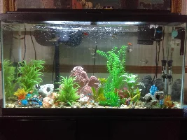Yet Another New Guy